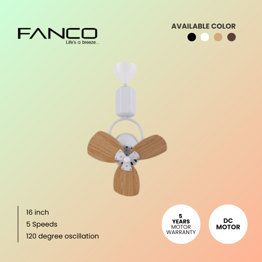 [Fanco] Fliegend F313